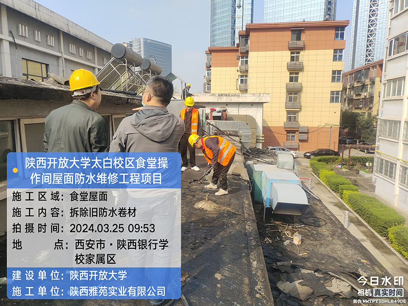 香港宝典全年资料大全