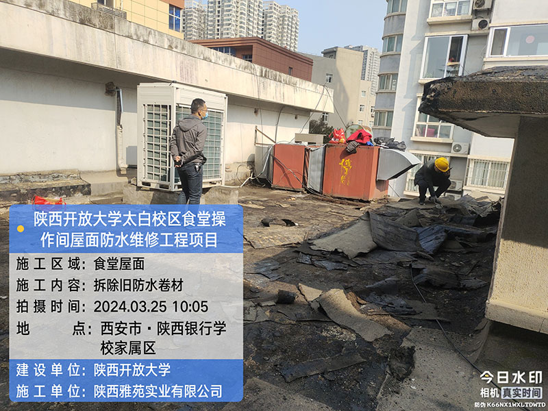香港宝典全年资料大全